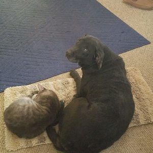 Meet your Posher, Heather